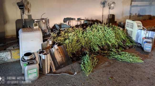 Bodrum katını uyuşturucu serasına çevirmiş