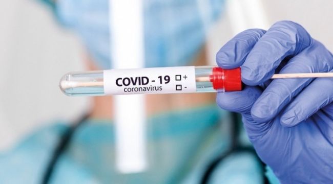 Brezilya'da koronavirüs vakaları artmaya devam ediyor