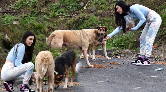 Burcu Kıratlı sokak hayvanlarını besledi