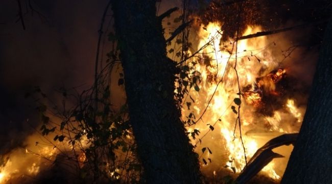 Bursa'da çiftlik alevlere teslim oldu