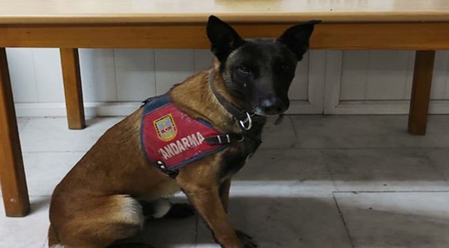 Cezaevinden izinli ayrıldı, dönüşte uyuşturu ile yakalandı