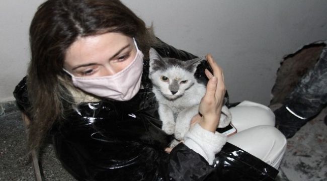 DEPREMDEN 42 GÜN SONRA KEDİSİNE KAVUŞTU