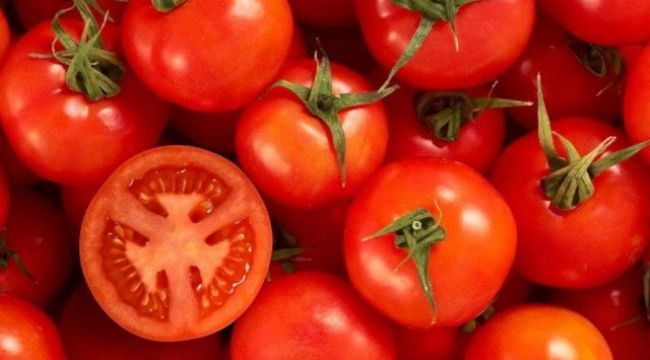Domates ihracatçıları, Rusya 'da kota engeliyle karşı karşıya