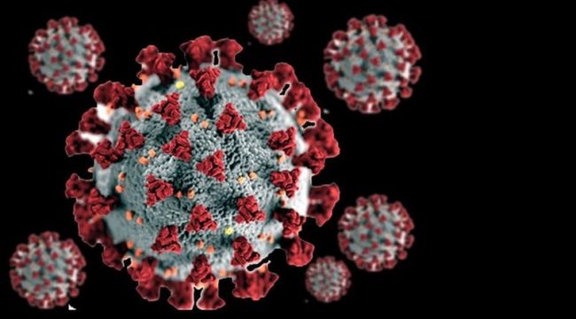 Japonya'da Covid-19'un yeni mutasyonu yayılıyor