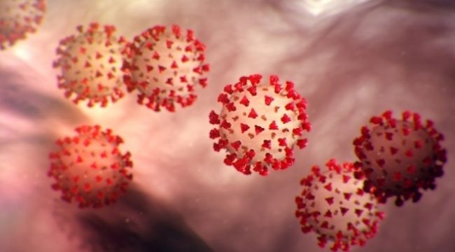 Kırgızistan'da mutasyon virüse karşı tedbirler arttı