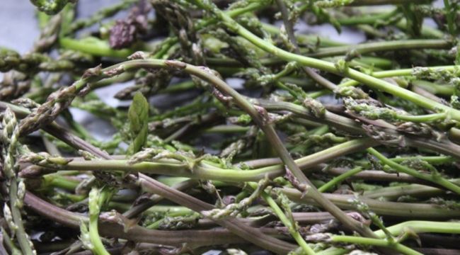 Korona virüsüne karşı Ege'nin şifalı otları birçok kişinin tercihi oldu