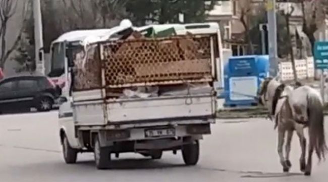 Manisa'da atın kamyonete bağlanıp yürütülmesi tepki çekti