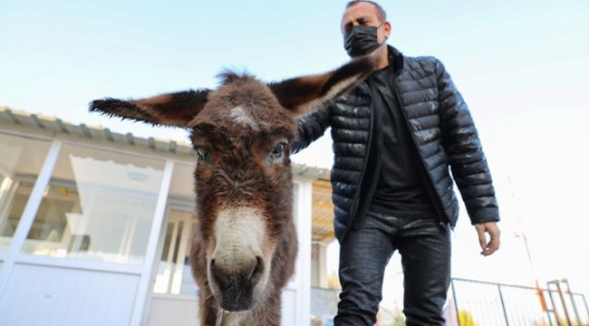 O EŞEK İZMİR'E GETİRİLDİ