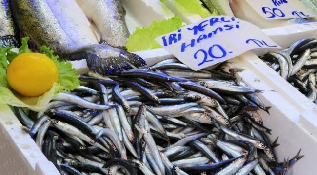 Palamutta sezon biterken, hamsinin kilosu 20 lira oldu