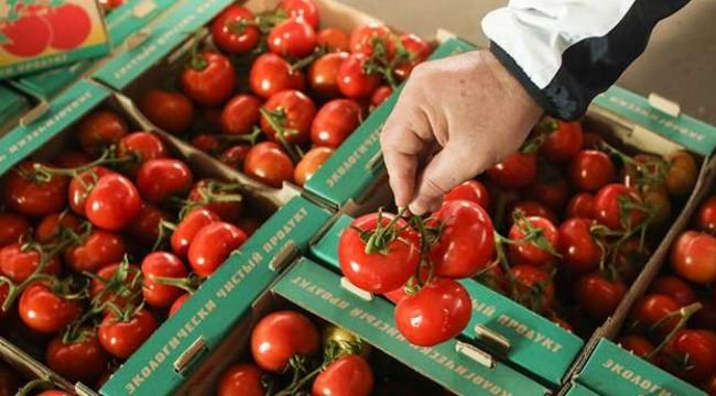 Rusya, Türkiye'den domates ithalatını arttırma kararı aldı