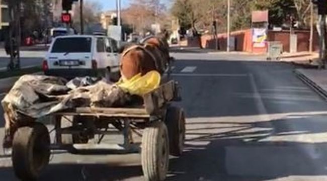 Sahibinden kaçan başıboş at trafikte tehlike saçtı