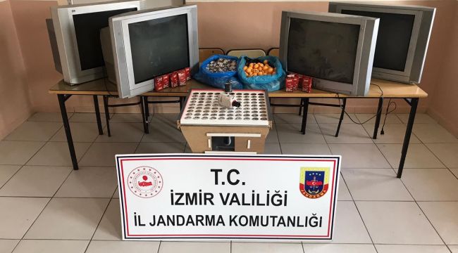 TAVUK ÇİFTLİĞİNDEKİ KUMARA JANDARMA BASKINI