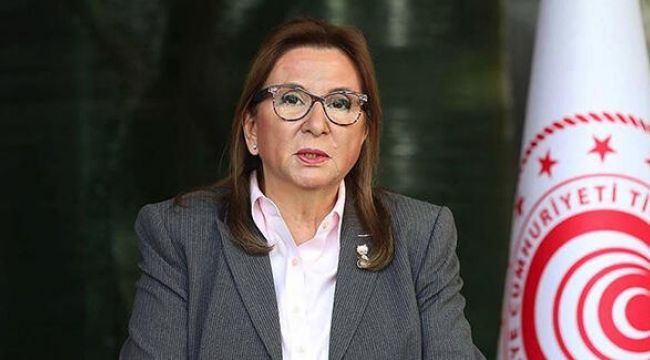 Ticaret Bakanı Pekcan'dan Brexit açıklaması
