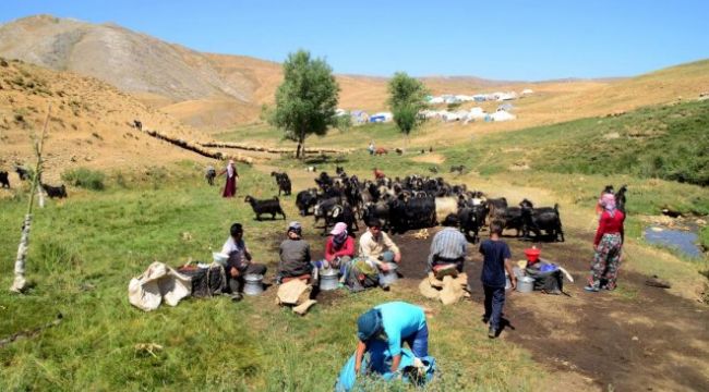 TİGEM’İN CEYLANPINAR ARAZİSİNDE 40 YILLIK İŞGAL