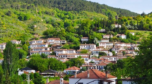 YENİ YILIN GÖZDESİ ŞİRİNCE OLDU