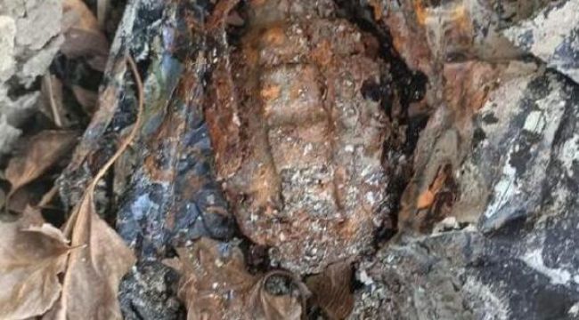 Ağaç kovuğunda el bombası bulundu