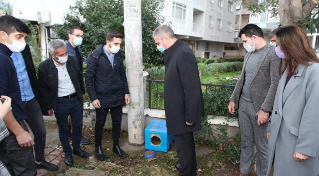 AK BAYRAKLI’DAN SOKAK HAYVANLARI İÇİN KAMPANYA