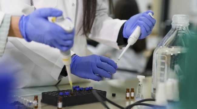 Almanya'da Covid-19'dan 445 kişi hayatını kaybetti