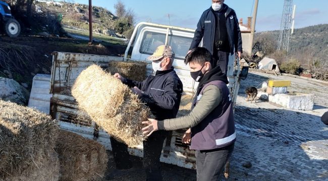 BERGAMA’DA YABAN HAYVANLARINI UNUTMADI