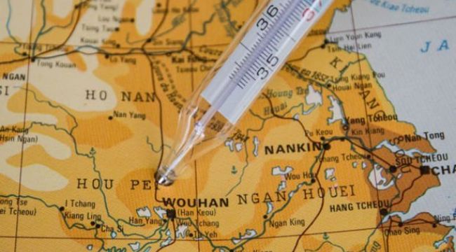 Covid-19'un kökenini araştıracak DSÖ ekibi Wuhan'da