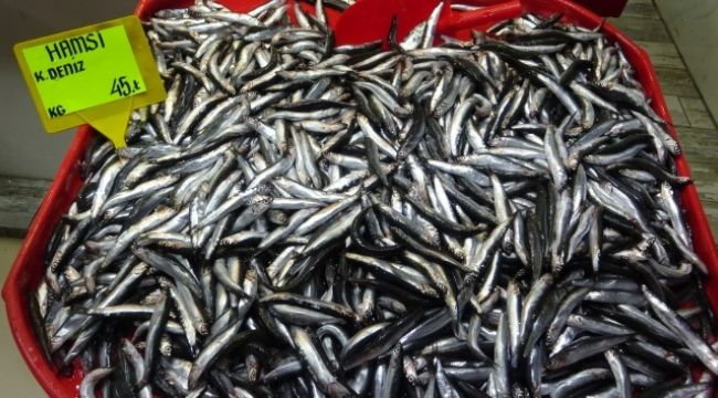 Hamsi fiyatları 45 lira oldu