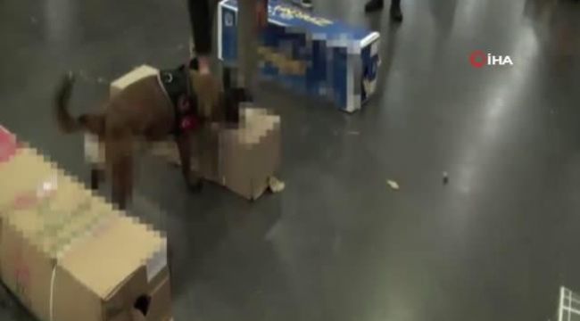 Havalimanında uyuşturucu operasyonu