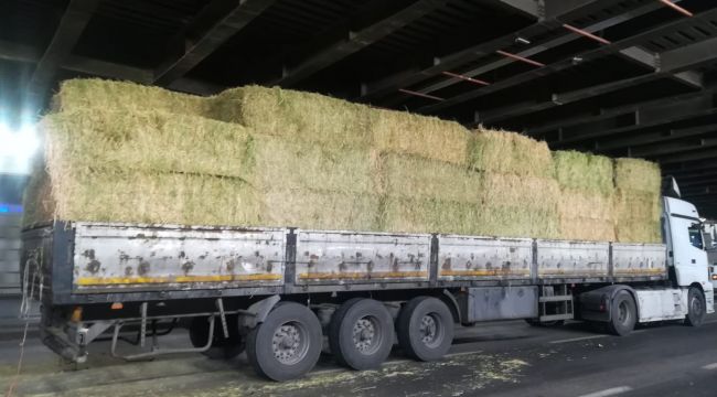 İZMİR'DE SAMAN YÜKLÜ TIR ALT GEÇİDE SIKIŞTI