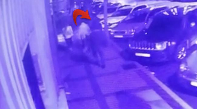 Kağıt toplayıcısı dehşet saçtı