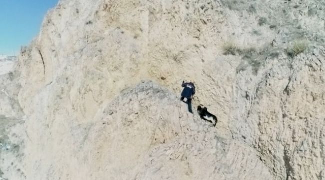 Kayalıklarda mahsur kalan keçileri AFAD kurtardı