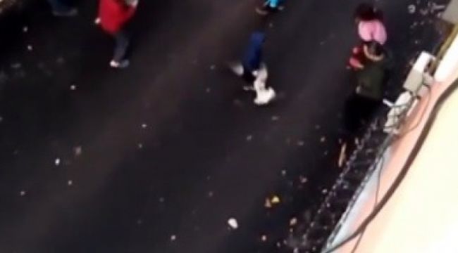 Kedilerin ortasında kalan çocuk ne yapacağını şaşırdı