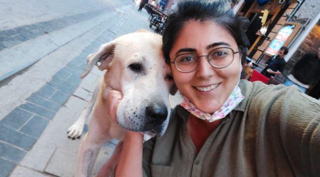 KESİLEN KÖPEĞİ VETERİNERLER HAYATA DÖNDÜRDÜ