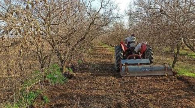 KISITLAMAYA RAĞMEN TARLALARDA ÜRETİM DEVAM ETTİ