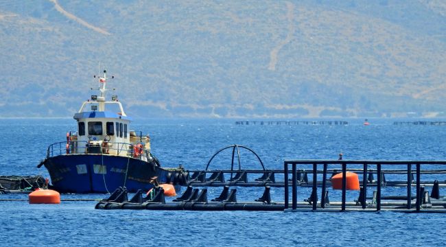 ORKİNOS ÜRETİM ÇİFTLİĞİNE 5’NCİ KEZ İPTAL