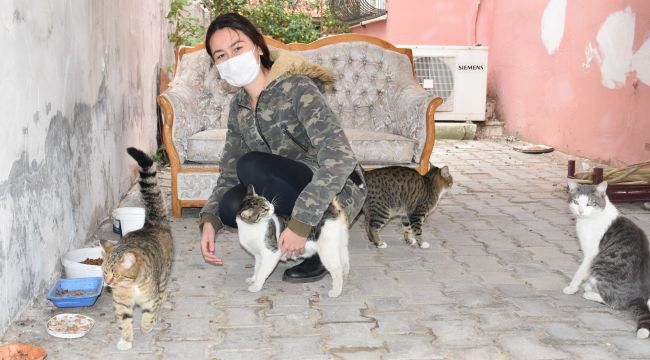 SINAVA HAZIRLANIRKEN CAN DOSTLARA SAHİP ÇIKTI