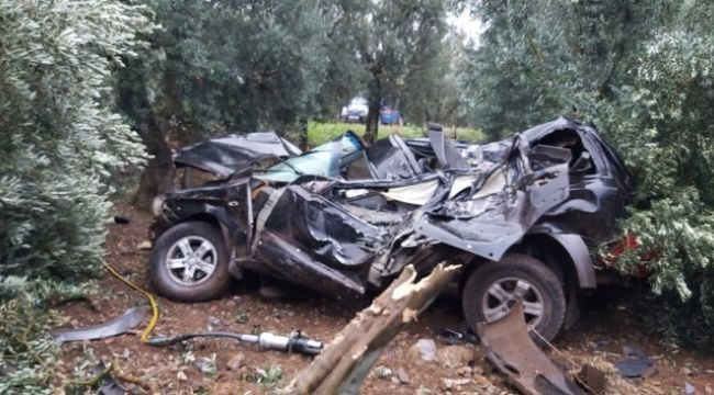 Taklalar atan araç, zeytin bahçesine uçtu