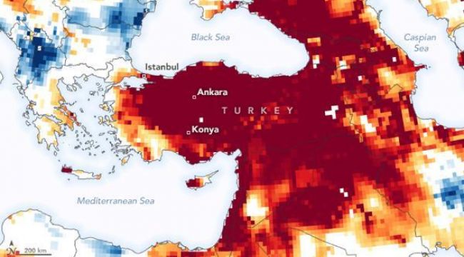 WWF'den Türkiye'ye uyarı
