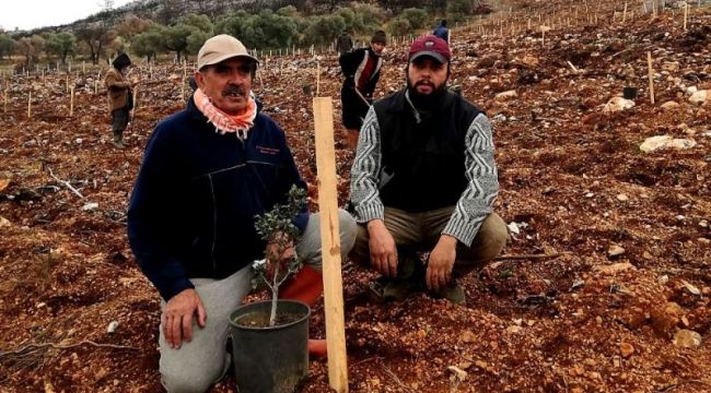 YANAN ALANLARA SAKIZ FİDANLARI DİKİLİYOR