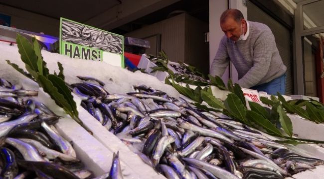 Yasak öncesi son hamsiler tezgahlarda