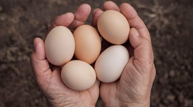 Yumurta fiyatları 1 yılda 2 katına çıktı