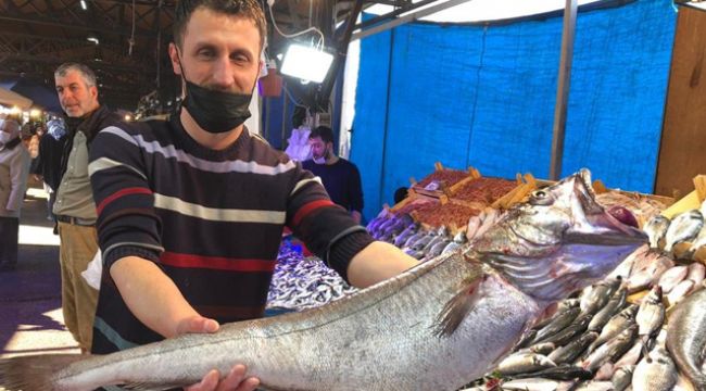 6 kiloluk dev mezgidi görenler gözlerine inanamadı