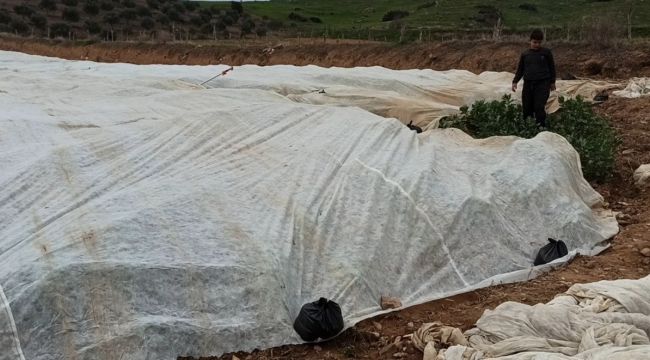 BAKLA VE BEZELYE ÜRETİCİLERİNDEN ELYAFLI ÖNLEM