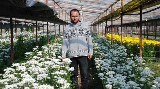 DOLU MAĞDURU URLA’DA DON ENDİŞESİ