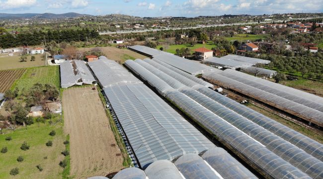 DOLU YAĞIŞI SERALARI ETKİLEDİ