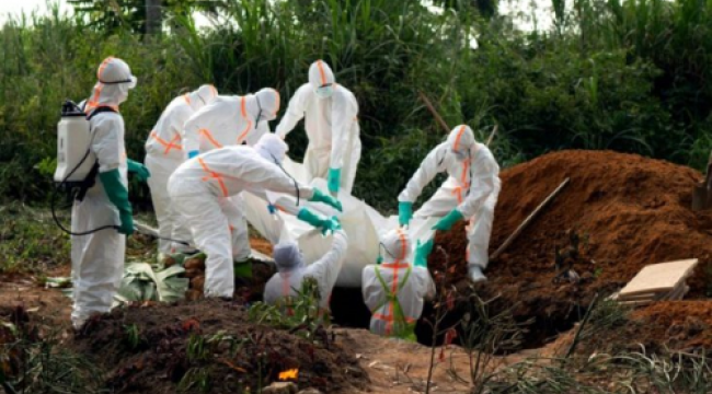 Dünyada Ebola kabusu !