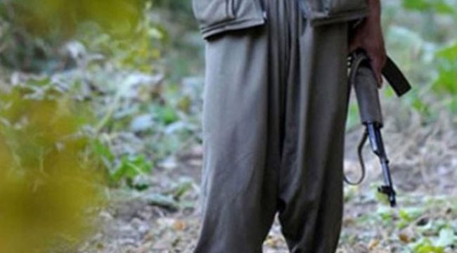 İçişleri Bakanlığı'ndan terör örgütü açıklaması