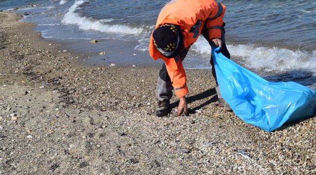 İZMİR’DE ÖLÜ BALIKLAR KIYIYA VURDU