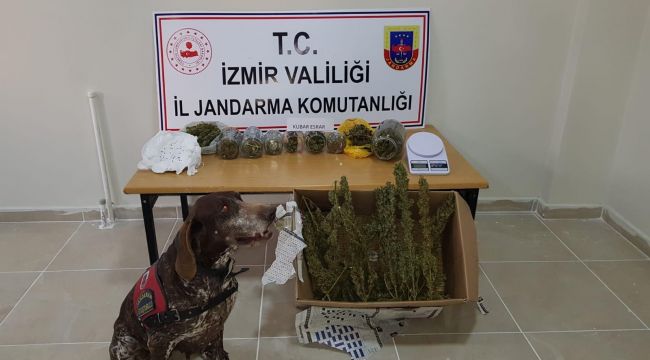 JANDARMADAN UYUŞTURUCU BASKINLARI