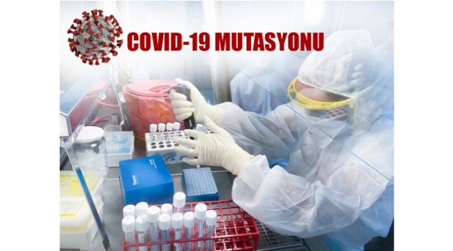 KKTC'de mutasyonlu virüs saptandı