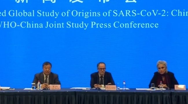 “Korona virüs büyük ihtimalle hayvanlardan insana bulaştı”