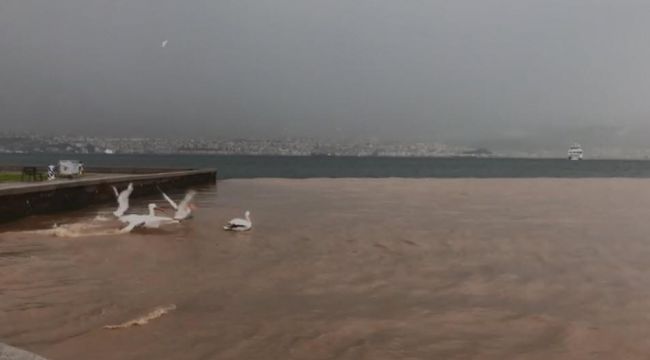 SAĞANAK YAĞIŞ SONRASI DENİZİN RENGİ  ŞOKE ETTİ!